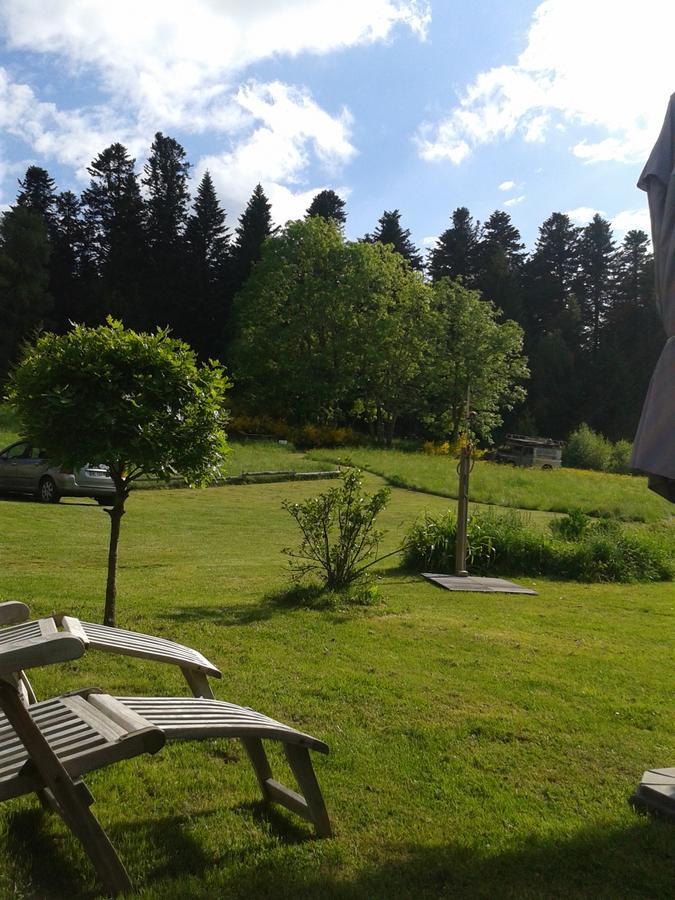 Chambres D'Hotes La Fougeraie Malvières Eksteriør billede